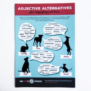 5M4A9149 300x300 - Magnet - Adjectives Alternatives