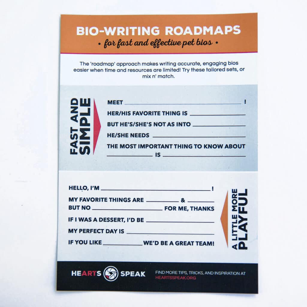 5M4A9152 1024x1024 - Magnet - Bio Writing Roadmap