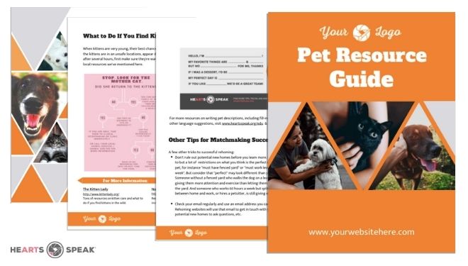 Pet Resource Guide feature image