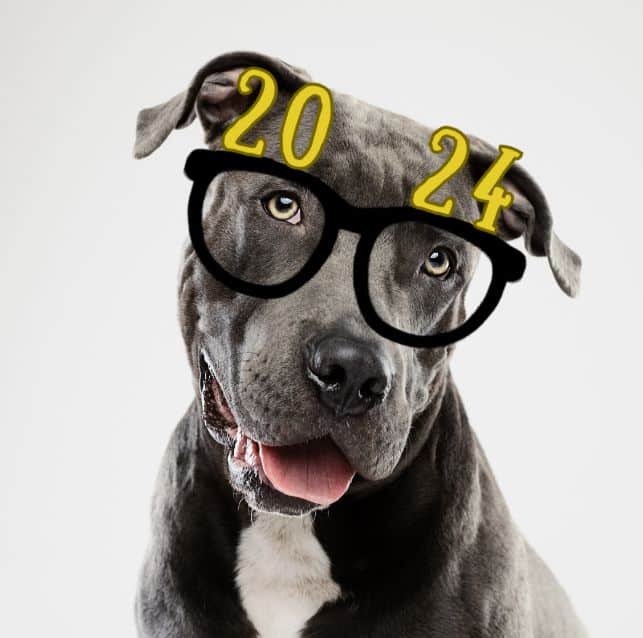 New Year Glasses Overlays Updated