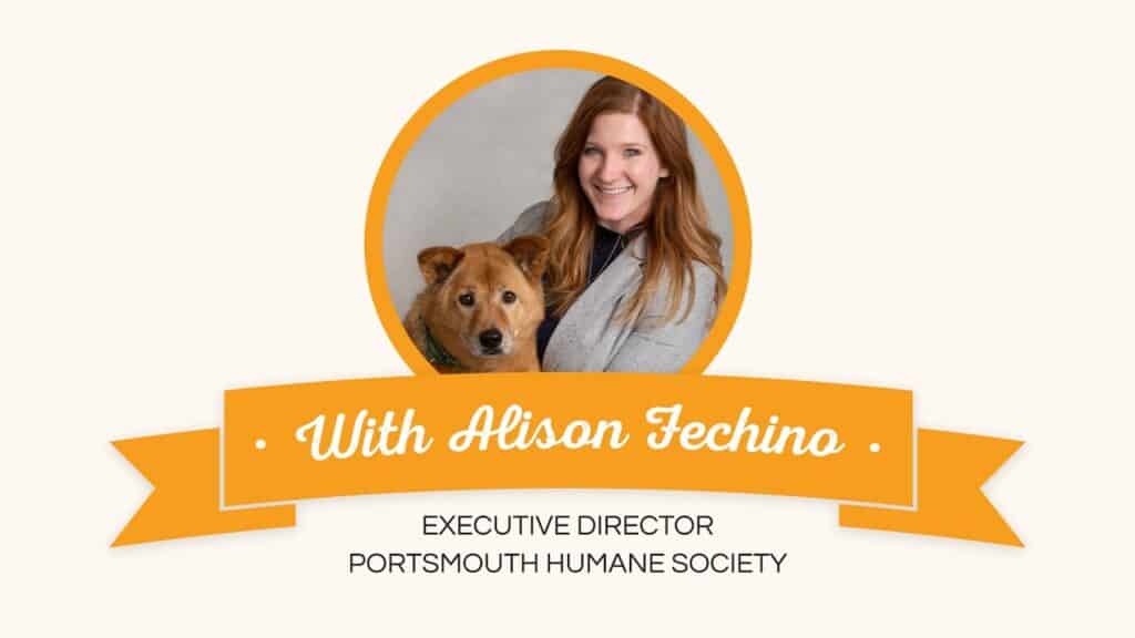 30 Minute Marketing Inspiration: Alison Fechino Of Portsmouth Humane Society