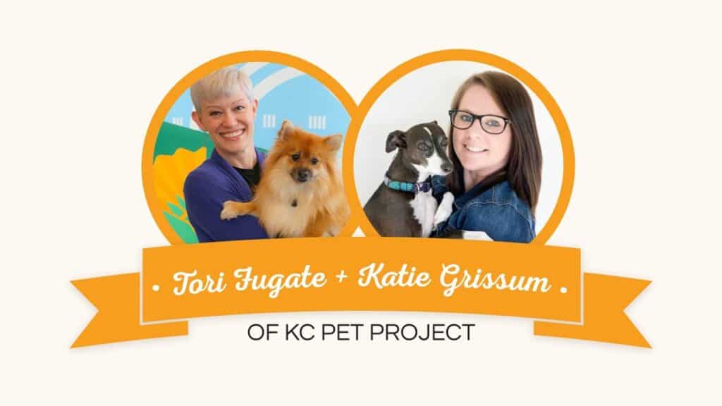 30 Minute Marketing Inspiration With Kc Pet Project