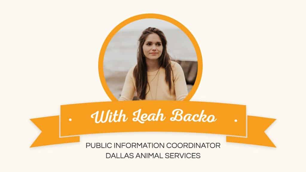 30 Minute Marketing Inspiration: Leah Backo Of Dallas Animal Services